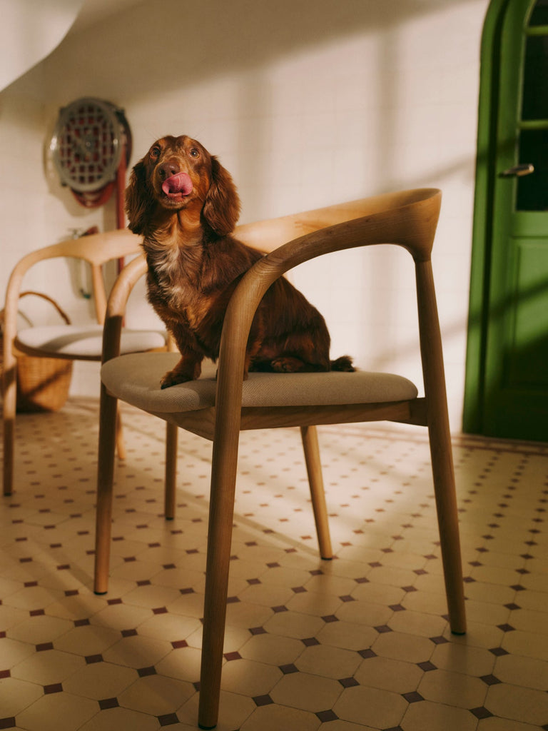 Chaise à accoudoirs en frêne avec assise rembourrée Camille